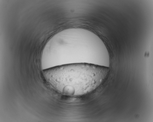 X0000114130319200910081008