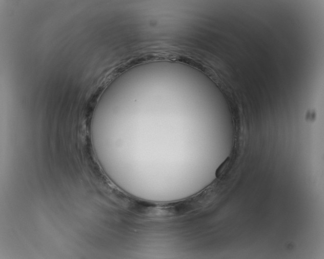 X0000114130320200910081008