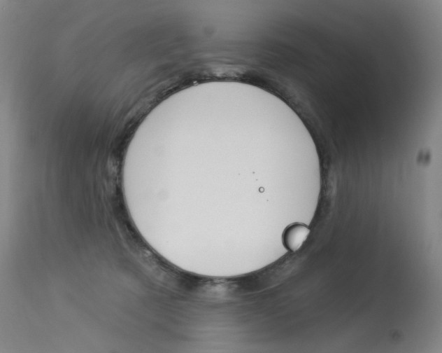 X0000114130321200910081008