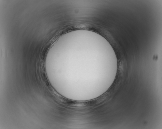 X0000114130322200910081008