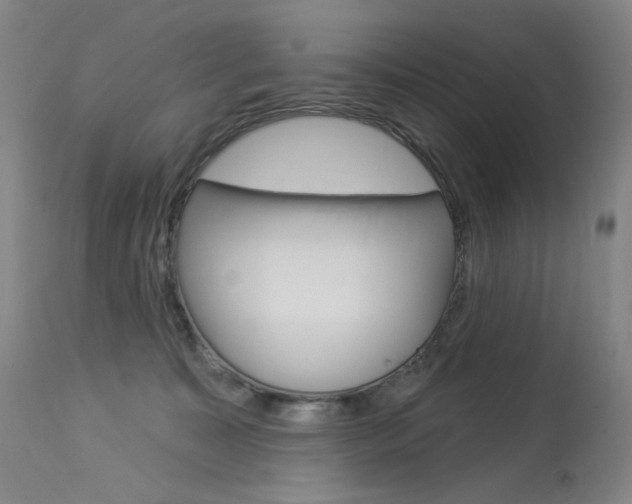 X0000114130323200910081008