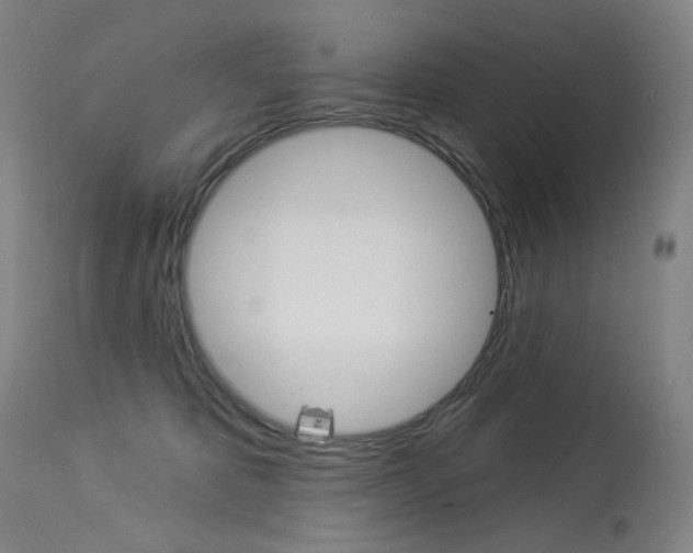 X0000114130325200910081008