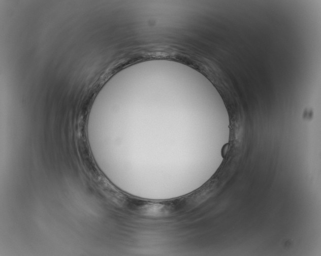 X0000114130326200910081008