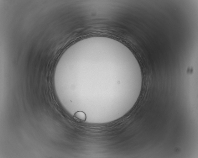 X0000114130327200910081008