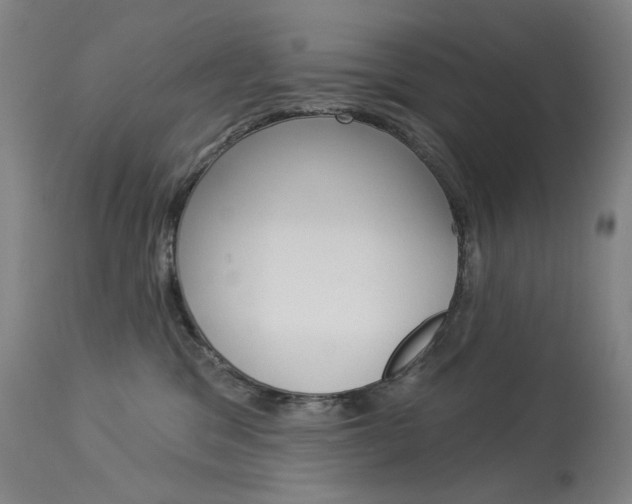 X0000114130329200910081008