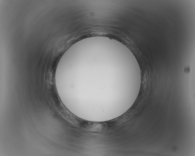 X0000114130330200910081008