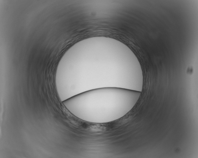 X0000114130331200910081008