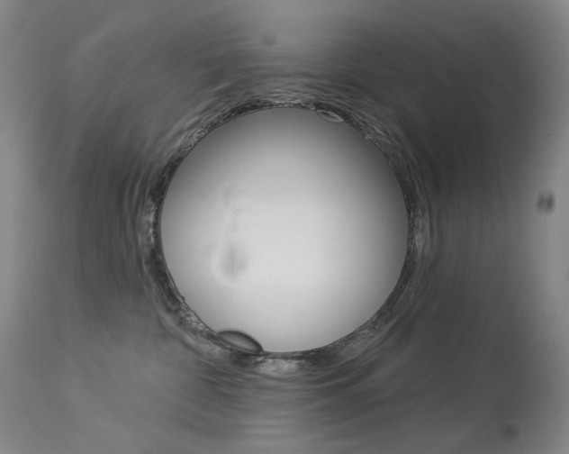 X0000114130332200910081008