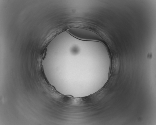 X0000114130333200910081008