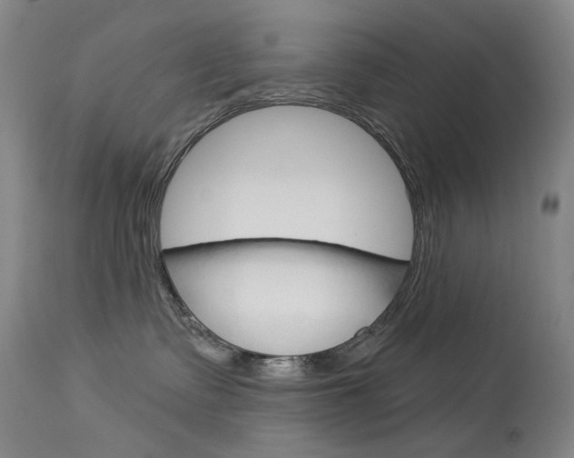 X0000114130335200910081008