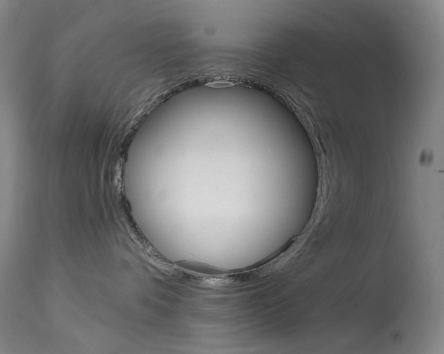 X0000114130336200910081008