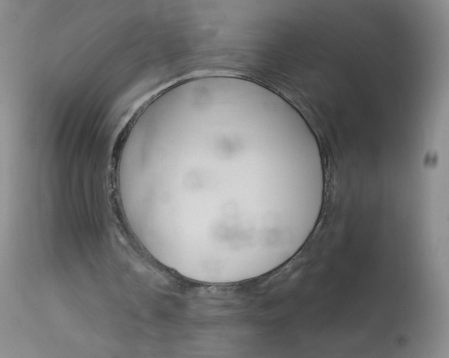 X0000114130338200910081007