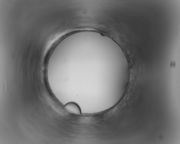 X0000114130342200910081008