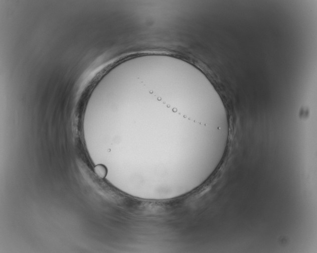 X0000114130343200910081008