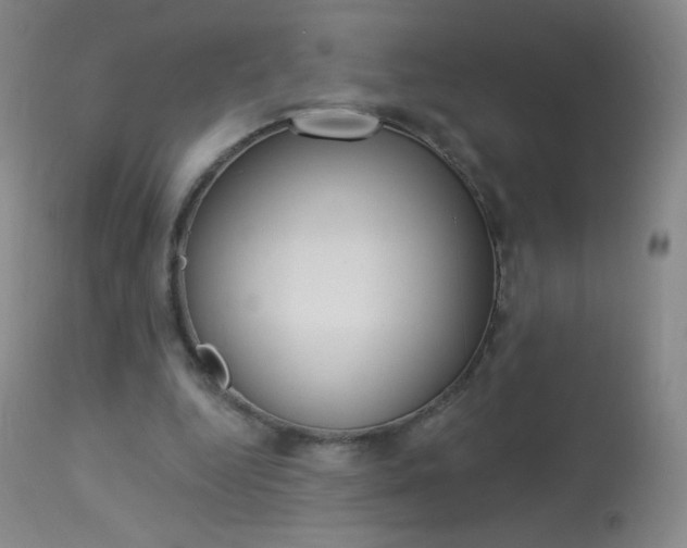 X0000114130344200910081008