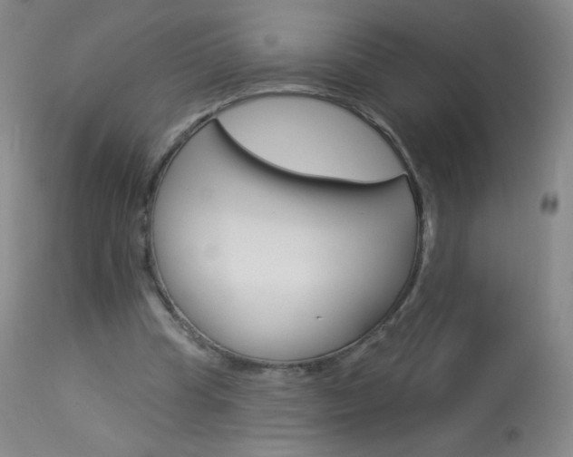 X0000114130345200910081008