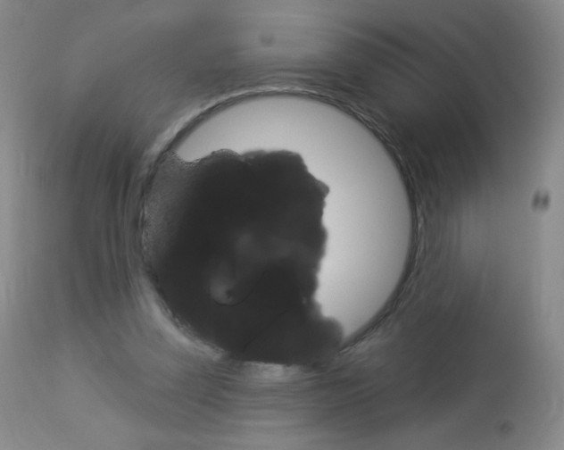 X0000114130347200910081008