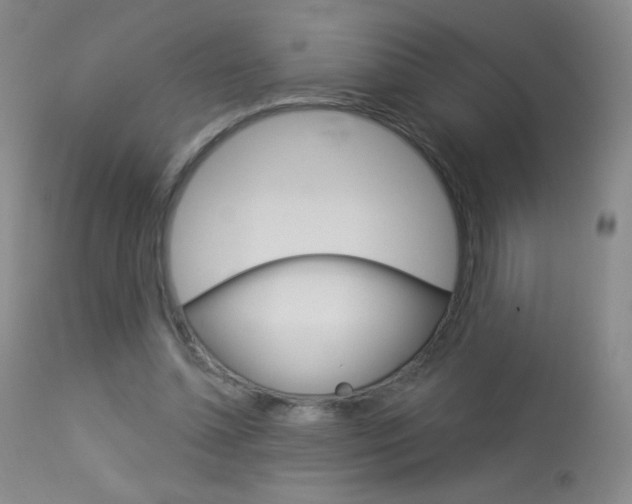 X0000114130348200910081008