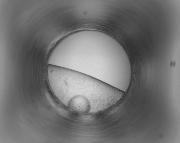 X0000114130349200910081008