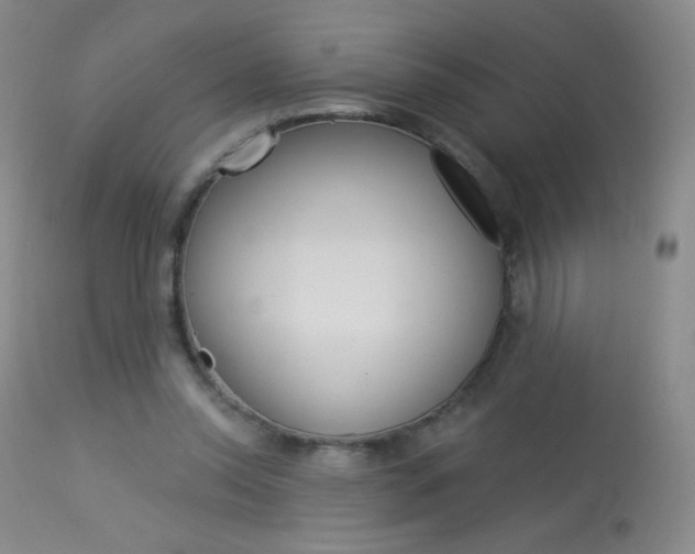 X0000114130350200910081008