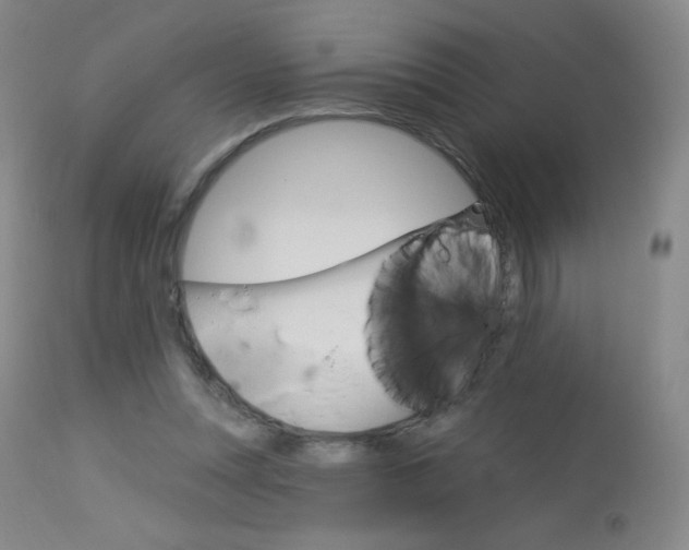 X0000114130351200910081008