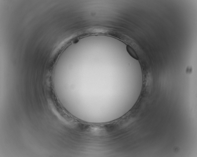 X0000114130352200910081008
