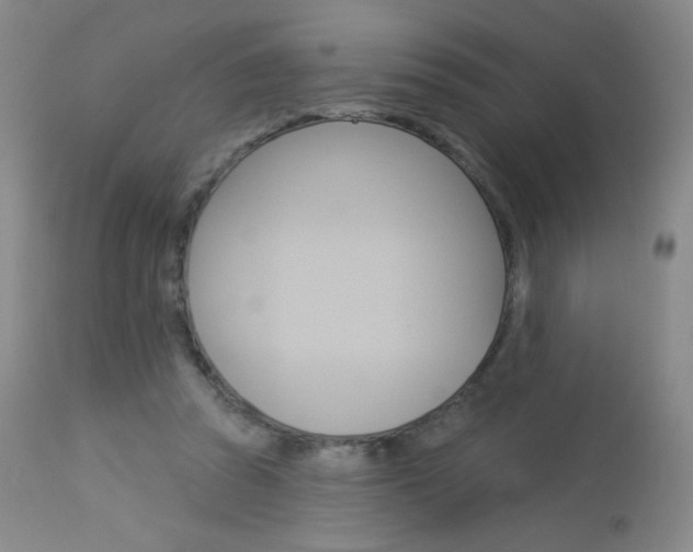 X0000114130353200910081008