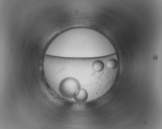 X0000114130354200910081008