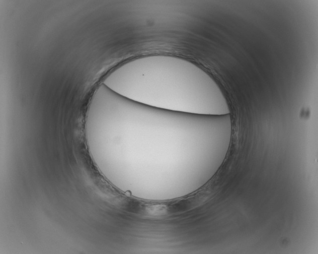 X0000114130355200910081008