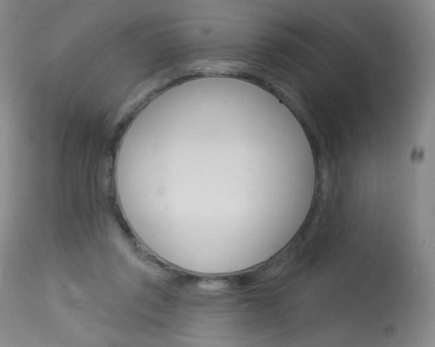 X0000114130357200910081008