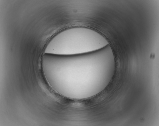 X0000114130358200910081008