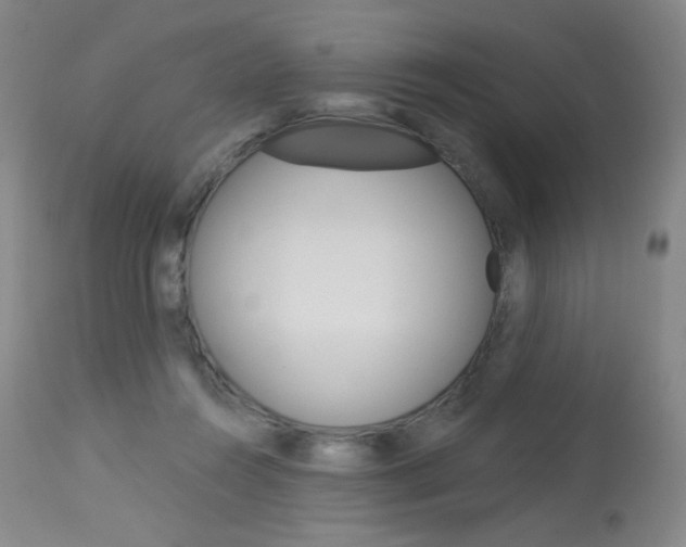 X0000114130360200910081008