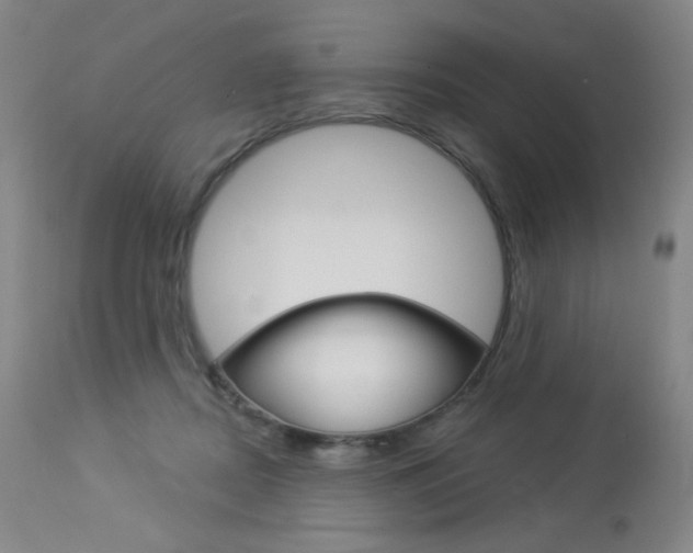 X0000114130362200910081008