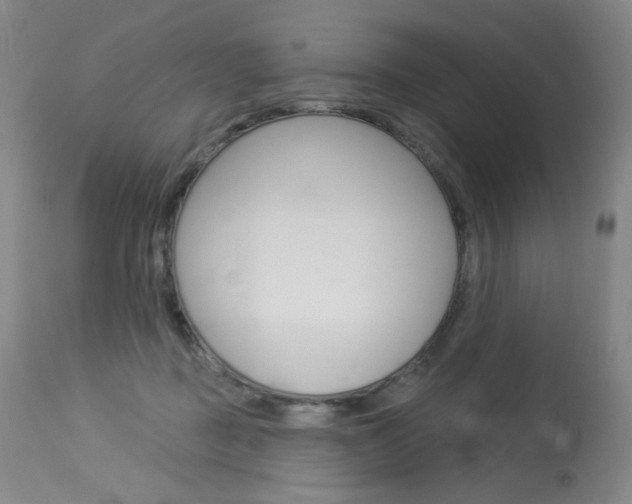 X0000114130363200910081008