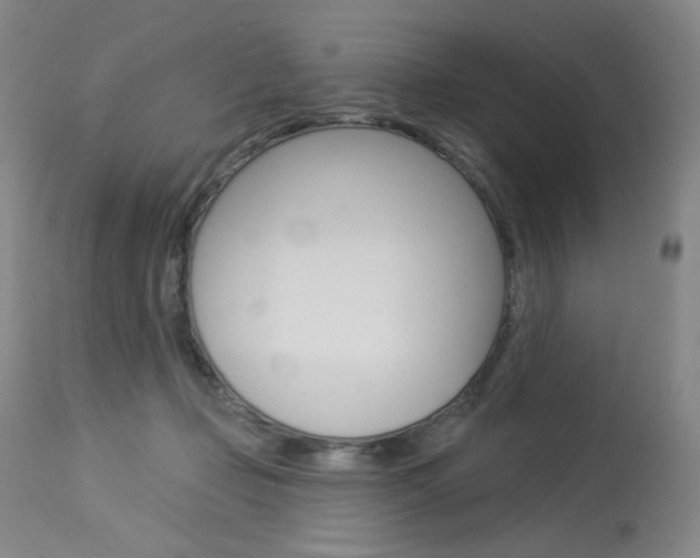 X0000114130365200910081008