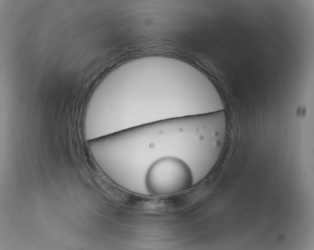 X0000114130366200910081008