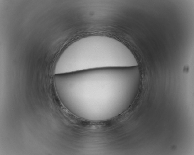 X0000114130368200910081008