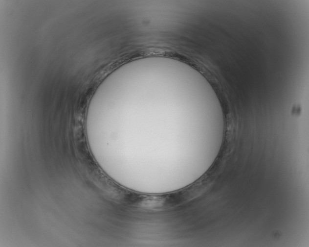 X0000114130369200910081008