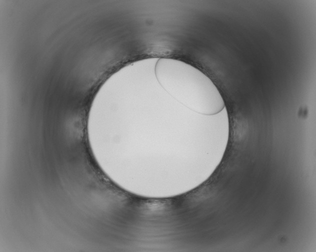 X0000114130370200910081008