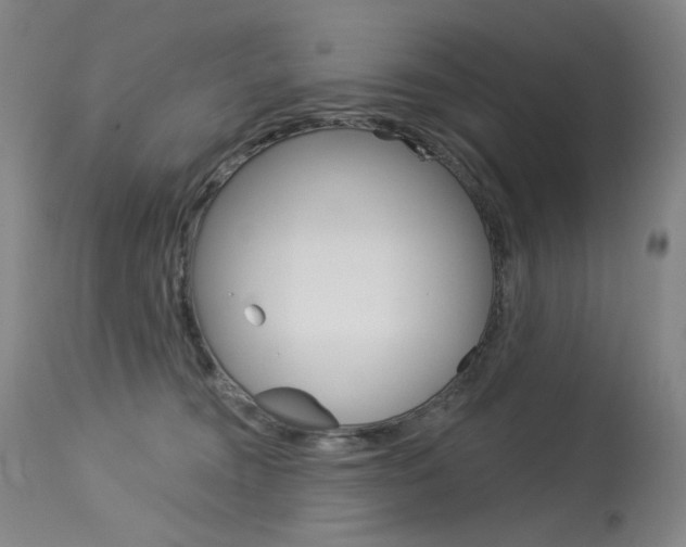 X0000114130372200910081008