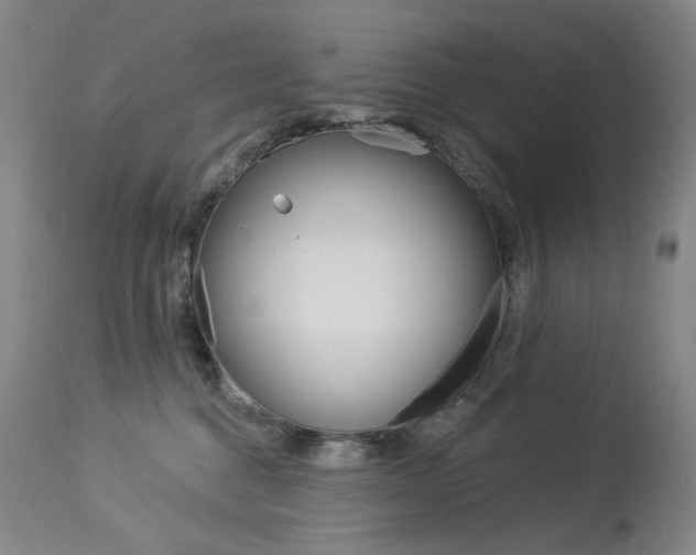 X0000114130376200910081008