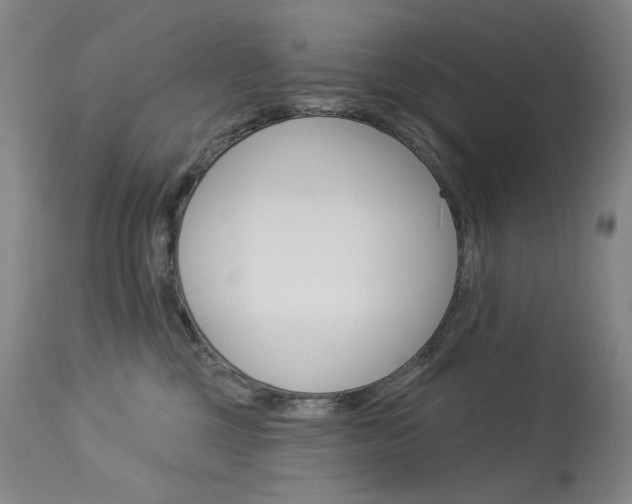 X0000114130377200910081008