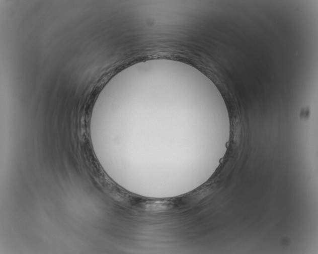 X0000114130378200910081008
