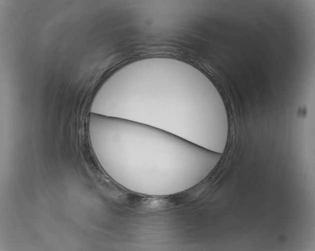 X0000114130379200910081008