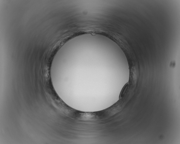 X0000114130380200910081008