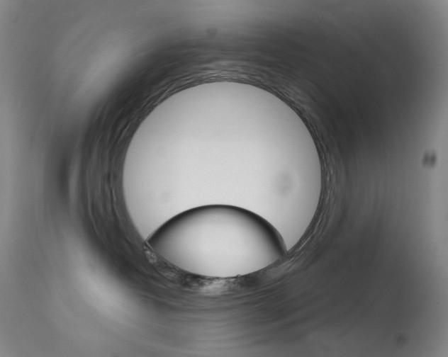 X0000114130382200910081008