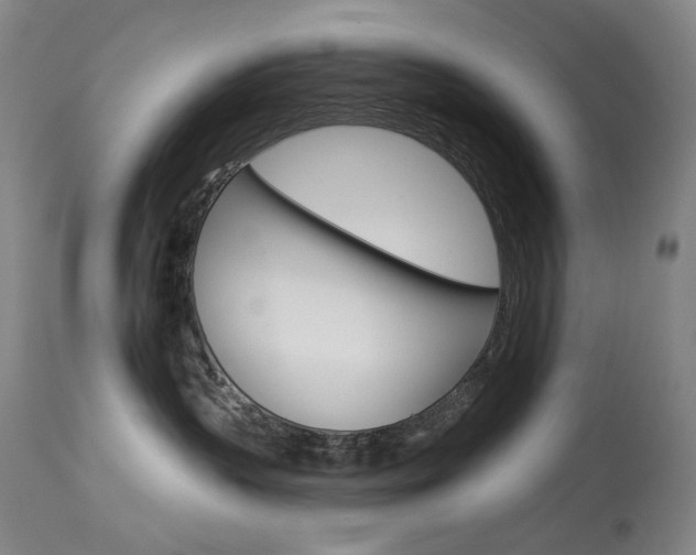 X0000114130383200910081008