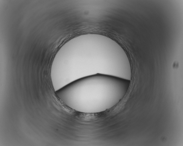 X0000114130384200910081008