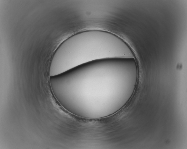 X0000114130385200910081007