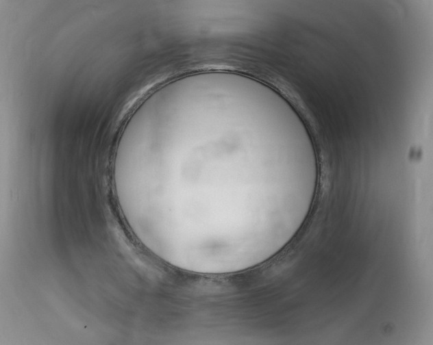 X0000114130386200910081007